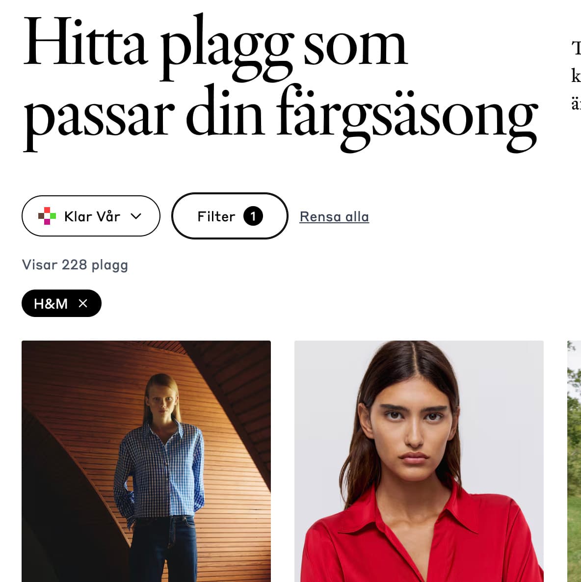 Cover Image for Känner du igen dig? 5 vanliga färgproblem – och hur du löser dem